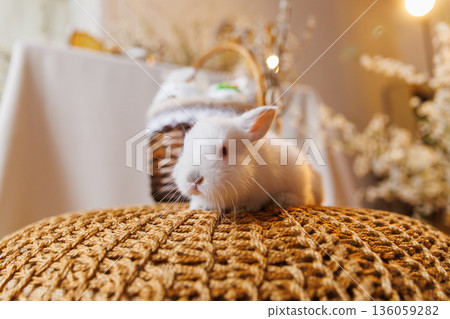 White bunny on woven pouf with Easter basket and spring blossoms, bokeh White bunny on woven pouf with Easter basket and spring blossoms, bokeh 136059282