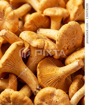 Cantarelo mushrooms. The power of mushrooms in a healthy diet 136059299
