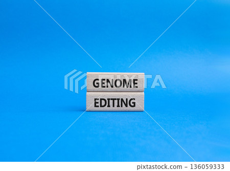 Genome Editing symbol. Wooden blocks with words Genome Editing. Beautiful blue background. Genetics and Genome Editing concept. Copy space. Genome Editing symbol. Wooden blocks with words Genome Editing. Beautiful blue background. Genetics and Genome Editing concept. Copy space. 136059333
