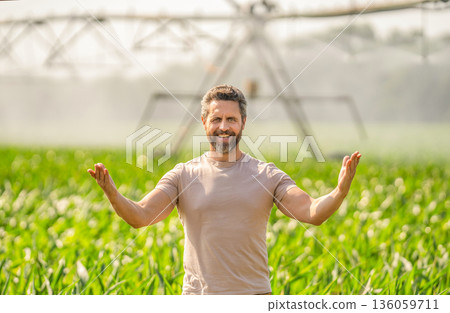 Drip irrigation system. Crop irrigation. Agriculture and farming. Man at irrigation system watering agricultural field. Farmer man presenting result. Water sprinkler irrigating crop field 136059711