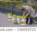 An elderly woman sells flowers on a city street 136059725