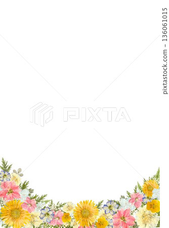Colorful pressed flower frame A4 vertical background material copy space flower botanical 136061015