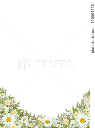 A4直版花框 | 底部是雛菊和綠葉，留白充足 136061338