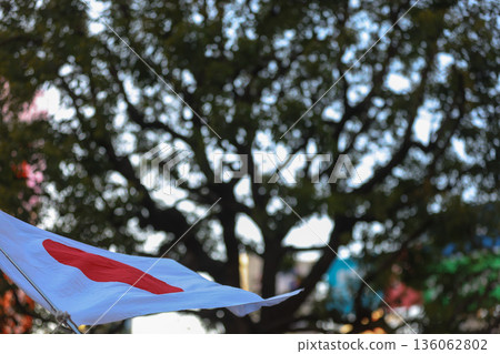 [Japanese flag] The flag fluttering against the winter sky 136062802