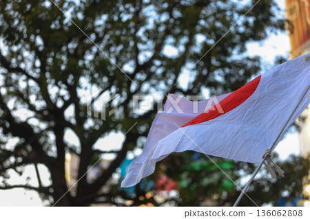 [Japanese flag] The flag fluttering against the winter sky 136062808