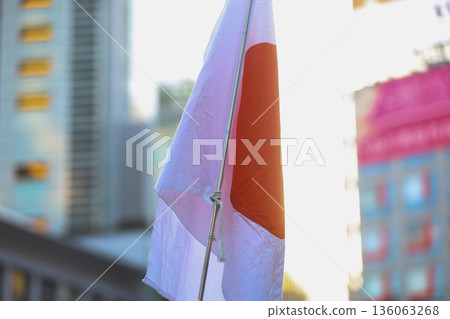 [Japanese flag] The flag fluttering against the winter sky 136063268