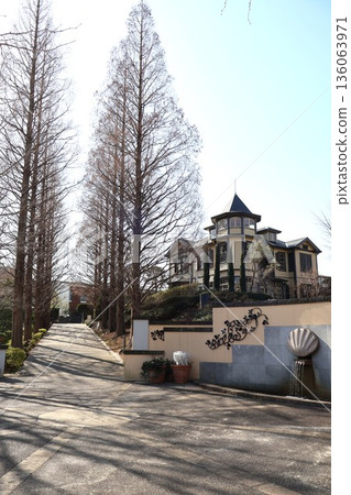 The Diplomat's House and Metasequoia Trees in Winter The Diplomat's House and Metasequoia Trees in Winter 136063971