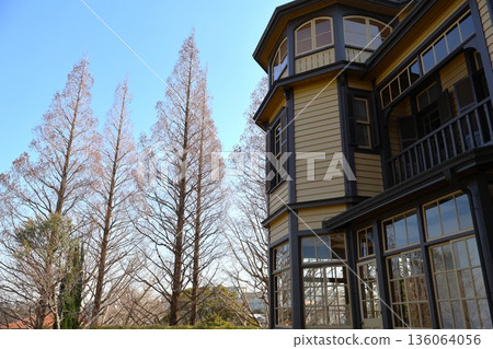 外交官府邸和冬天的水杉樹 136064056