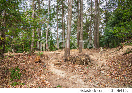 天王山森林景色，京都府大山崎町，乙國郡 136064302