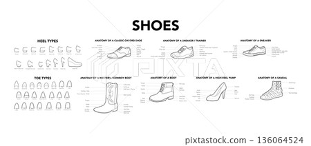 Shoes collection anatomy diagrams of main styles and heel toe set. Multi style footwear construction guide with labeled 136064524
