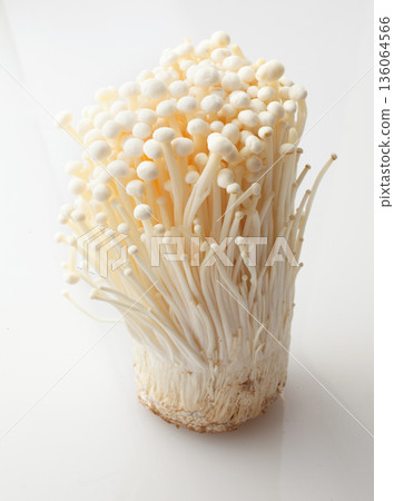 Enoki mushrooms studio shot 136064566