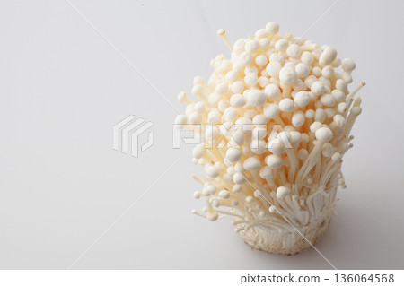 金針菇攝影棚拍攝 金針菇攝影棚拍攝 136064568