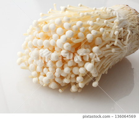 Enoki mushrooms studio shot 136064569