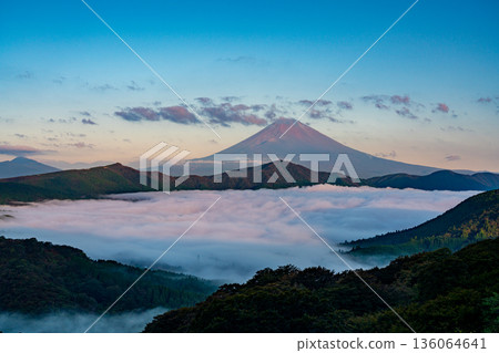 (Kanagawa Prefecture) Mount Fuji and the sea of clouds covering Lake Ashi 136064641