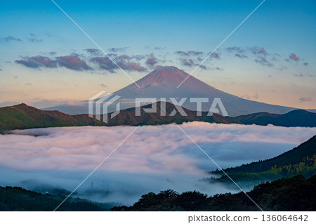 (Kanagawa Prefecture) Mount Fuji and the sea of clouds covering Lake Ashi 136064642