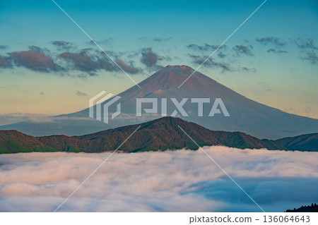 (Kanagawa Prefecture) Mount Fuji and the sea of clouds covering Lake Ashi 136064643
