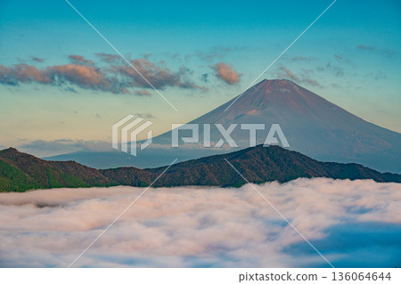 （神奈川縣）富士山與籠罩蘆之湖的雲海 136064644