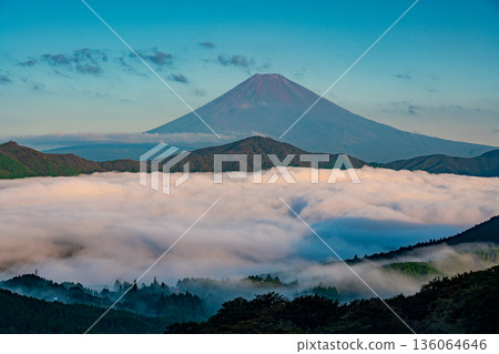 (Kanagawa Prefecture) Mount Fuji and the sea of clouds covering Lake Ashi 136064646