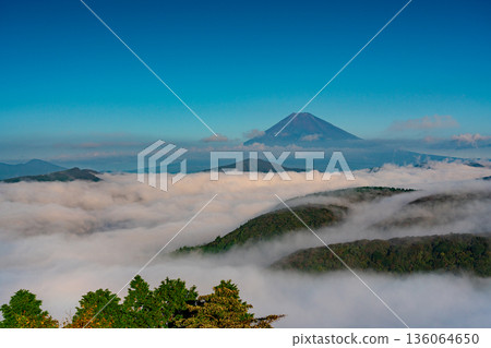 (Kanagawa Prefecture) Mount Fuji and the sea of clouds covering Lake Ashi 136064650