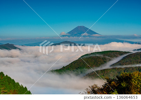 (Kanagawa Prefecture) Mount Fuji and the sea of clouds covering Lake Ashi (Kanagawa Prefecture) Mount Fuji and the sea of clouds covering Lake Ashi 136064653