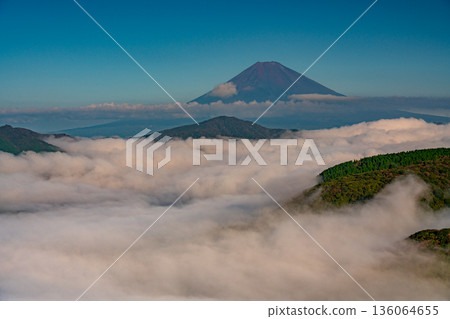 （神奈川縣）富士山與籠罩蘆之湖的雲海 136064655