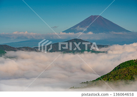 (Kanagawa Prefecture) Mount Fuji and the sea of clouds covering Lake Ashi (Kanagawa Prefecture) Mount Fuji and the sea of clouds covering Lake Ashi 136064658