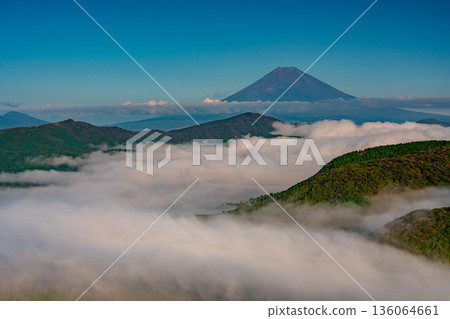 (Kanagawa Prefecture) Mount Fuji and the sea of clouds covering Lake Ashi 136064661