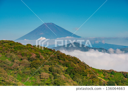 (Kanagawa Prefecture) Mount Fuji and the sea of clouds covering Lake Ashi 136064663