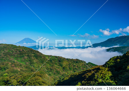 （神奈川縣）富士山與籠罩蘆之湖的雲海 136064666