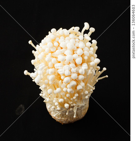 Enoki mushrooms studio shot 136064683
