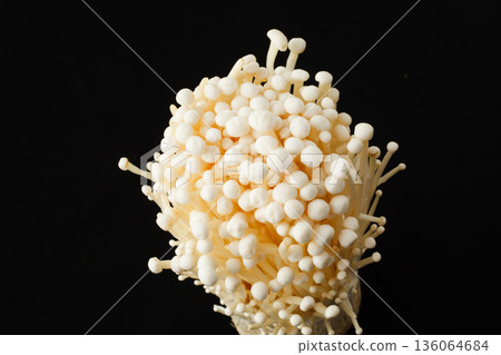 Enoki mushrooms studio shot 136064684