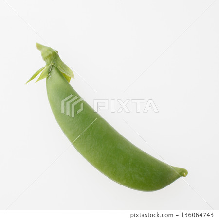 豌豆白色背景 豌豆白色背景 136064743