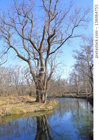 冬日的曇野－大王芥末農場的河流 136064755