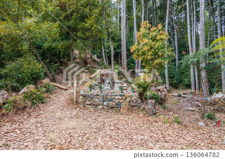 天王山森林景色,京都府大山崎町,乙國郡 天王山森林景色,京都府大山崎町,乙國郡 136064782