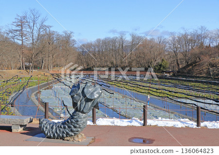 Azumino Daio wasabi farm of winter 136064823