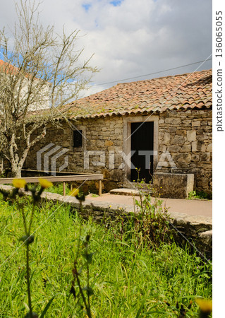 Traditional stone cottage with clay tile roof chimney and leafless tree beside green meadow in rural Portuguese village Fatima Portugal no people. High quality photo Traditional stone cottage with clay tile roof chimney and leafless tree beside green meadow in rural Portuguese village Fatima Portugal no people. High quality photo 136065055