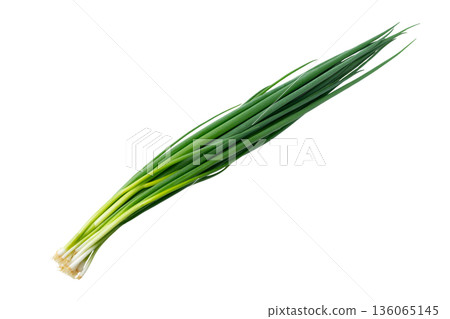 透明背景上的蔥(png) 透明背景上的蔥(png) 136065145