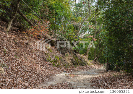 Hiking course of Mt. Tenno, Oyamazaki Town, Otokuni District, Kyoto Prefecture 136065231