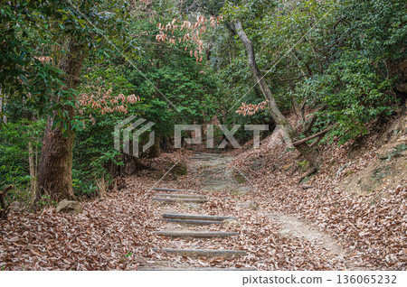 Hiking course of Mt. Tenno, Oyamazaki Town, Otokuni District, Kyoto Prefecture 136065232