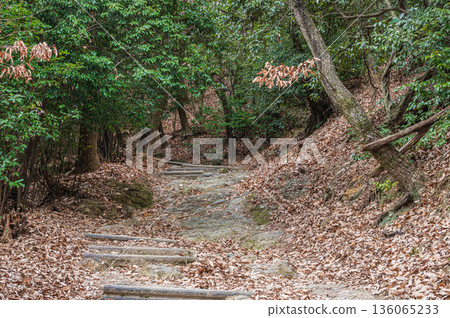 Hiking course of Mt. Tenno, Oyamazaki Town, Otokuni District, Kyoto Prefecture 136065233