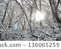 陽光和雪景 136065259