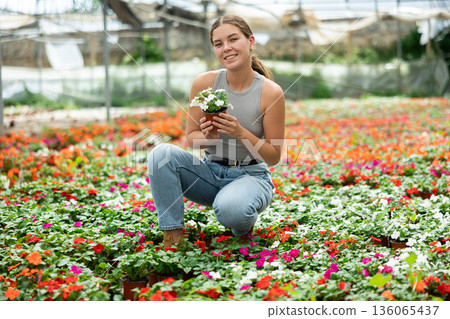 Young woman choosing flowers in greenhouse 136065437