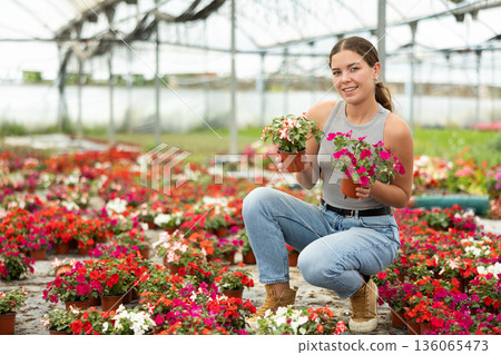 Young woman choosing flowers in greenhouse 136065473