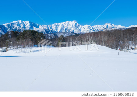 Nakayama Plateau Snow Trekking (View of the Northern Alps) 136066038