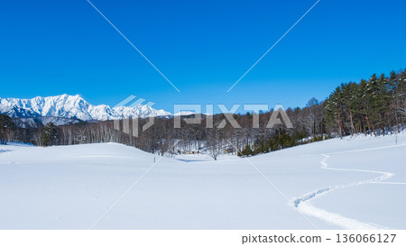 Nakayama Plateau Snow Trekking (View of the Northern Alps) 136066127