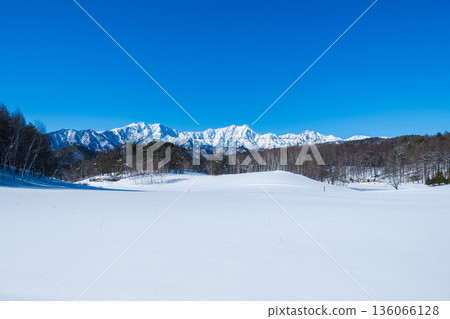 Nakayama Plateau Snow Trekking (View of the Northern Alps) 136066128