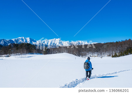 Nakayama Plateau Snow Trekking (View of the Northern Alps) 136066201