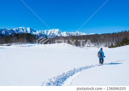 Nakayama Plateau Snow Trekking (View of the Northern Alps) Nakayama Plateau Snow Trekking (View of the Northern Alps) 136066205