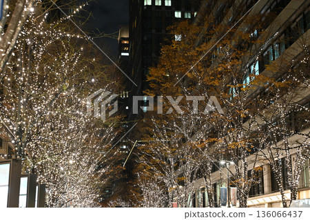 Illumination of Tokyo Marunouchi 136066437