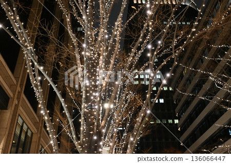 東京丸之內的照明 136066447